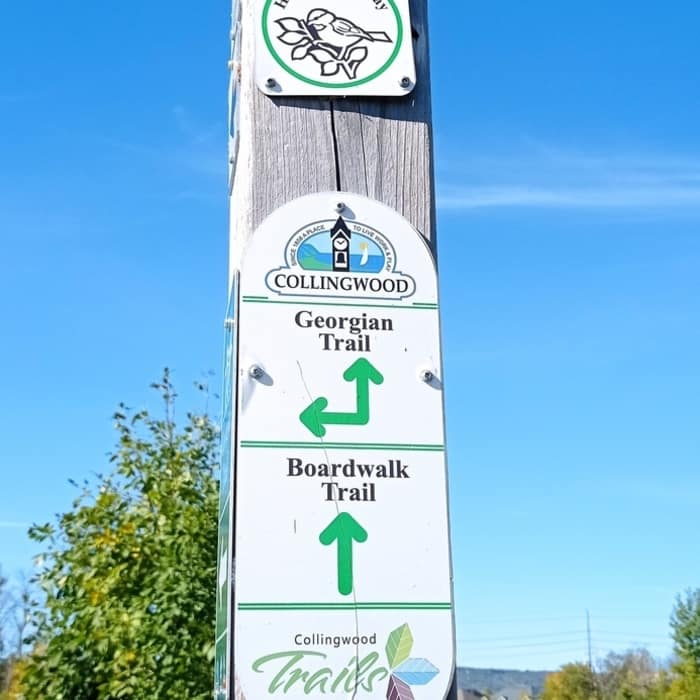 Near Georgian Trail
