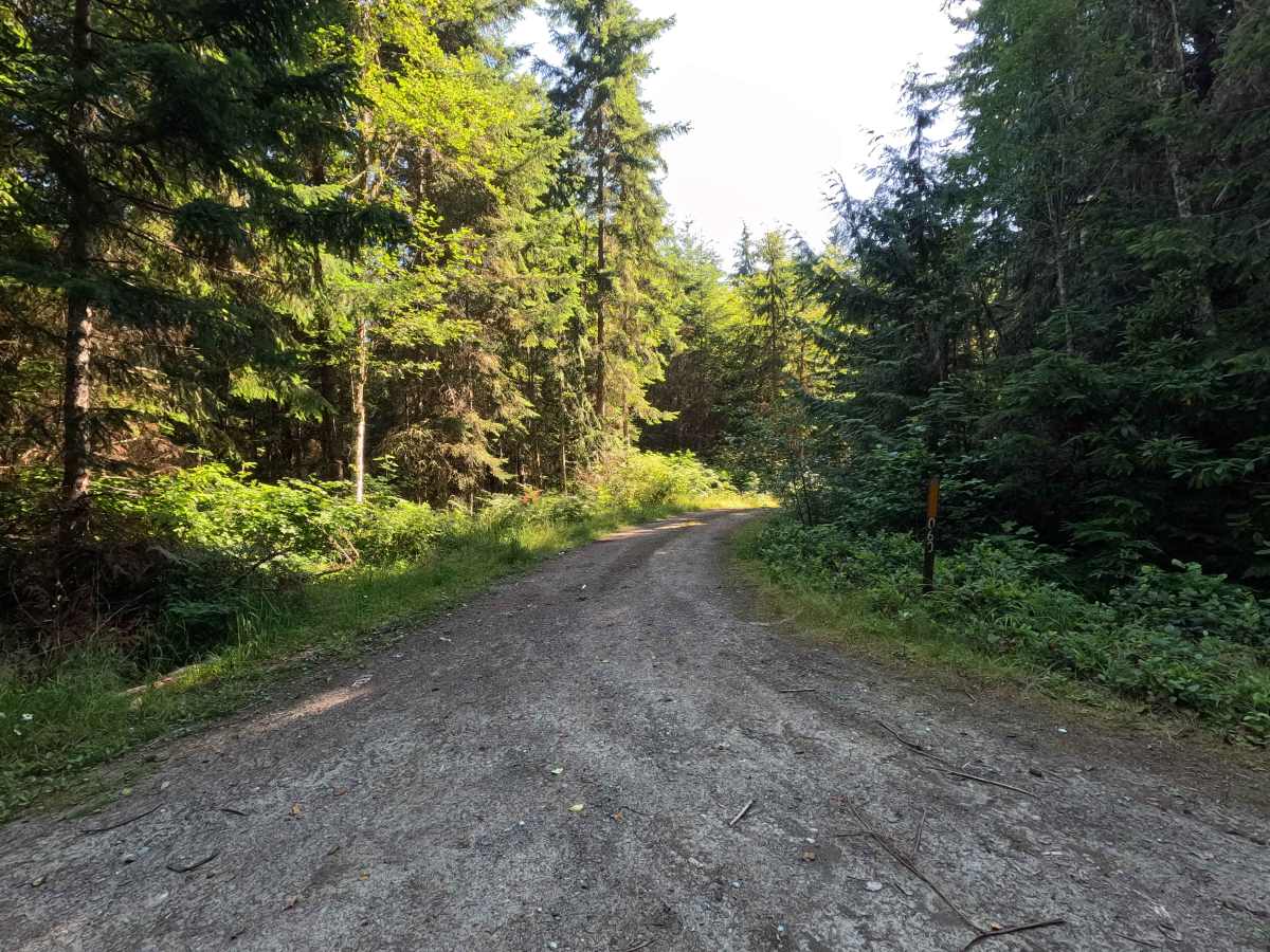 FS 2878060 trail photo