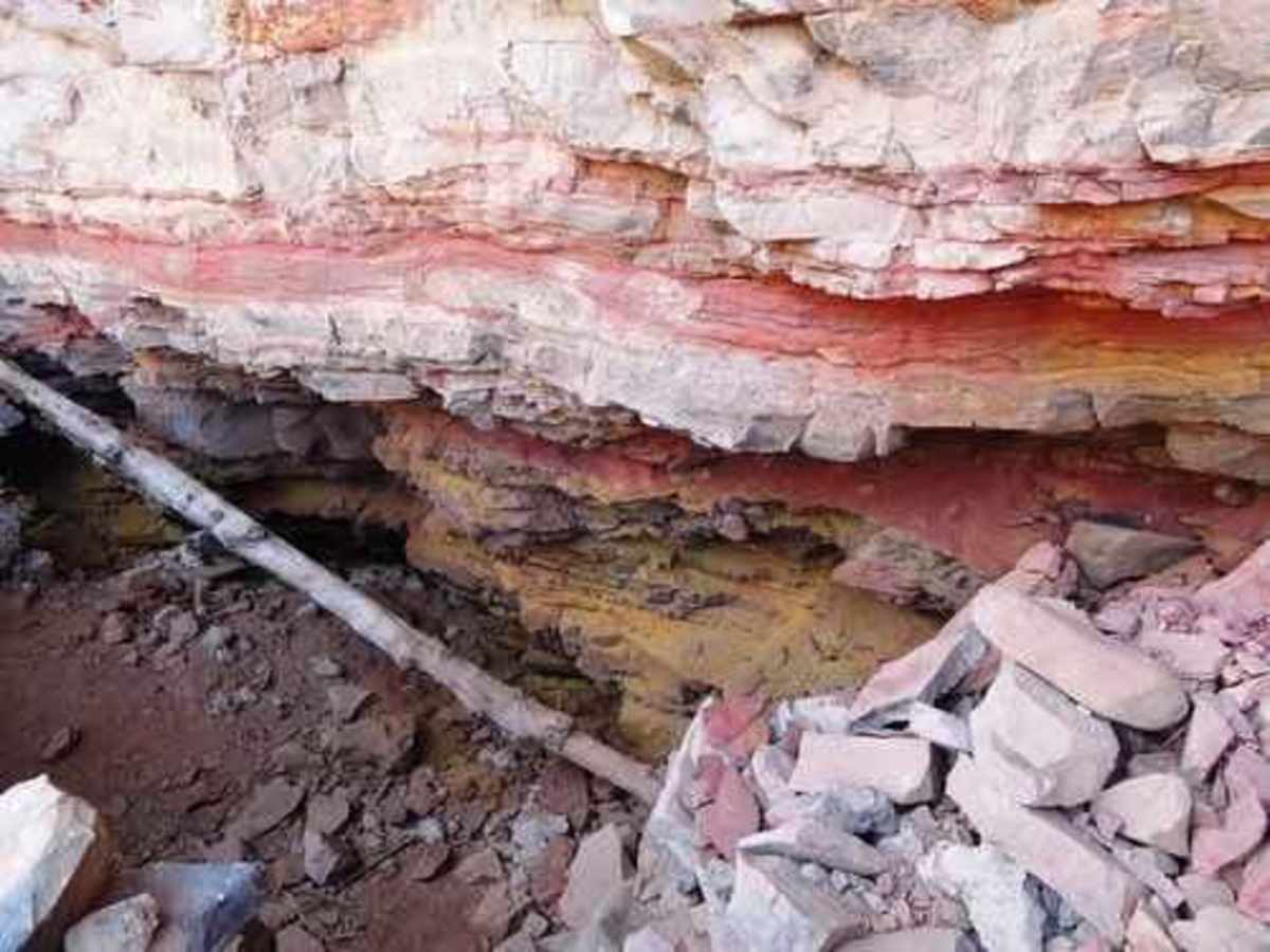 Coon Creek Ruins photo 6