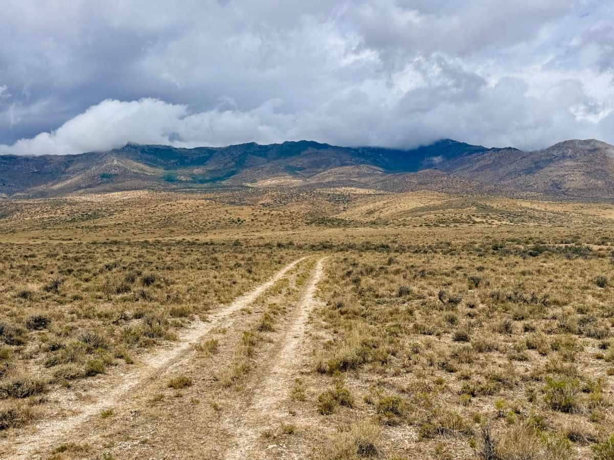 Agee Spring Spur C - FS 17889C trail photo