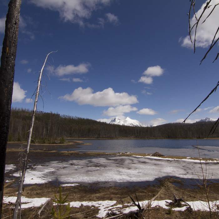 Near Howe Lake Trail