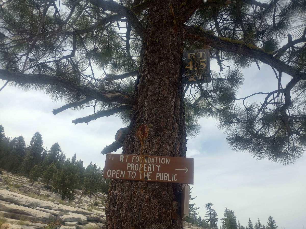 Rubicon Trail Foundation Access Road trail photo