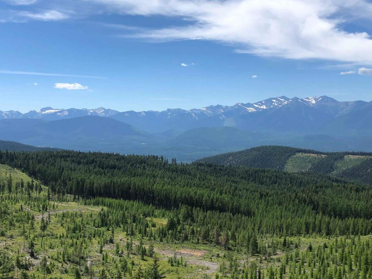 Swede Mountain Runabout trail photo