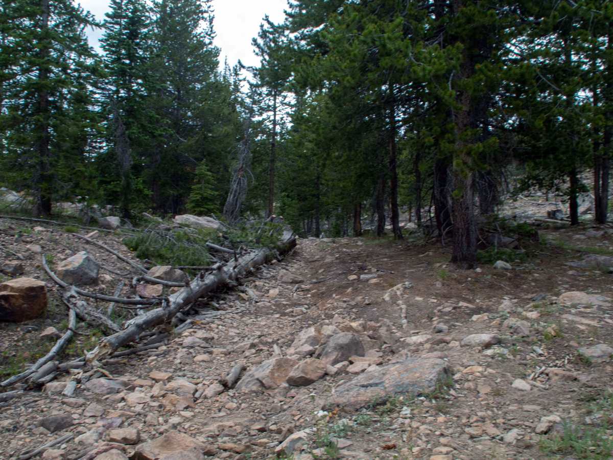 Spring Canyon 1 - FS 80935 photo 6