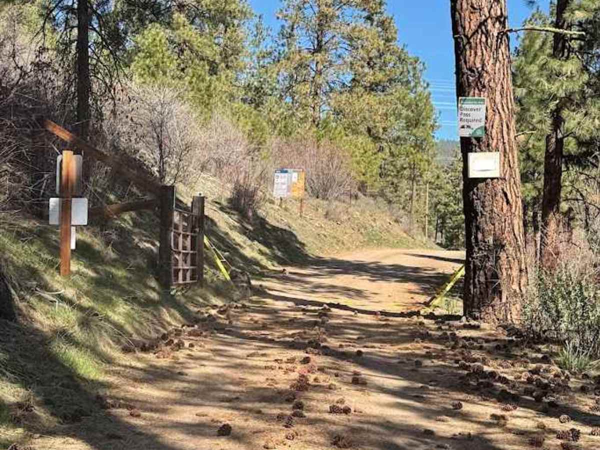 Cooke Canyon Road photo 3