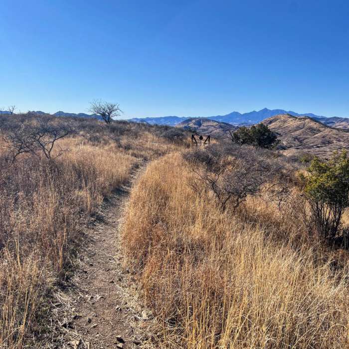 Near Canelo Hills Loop