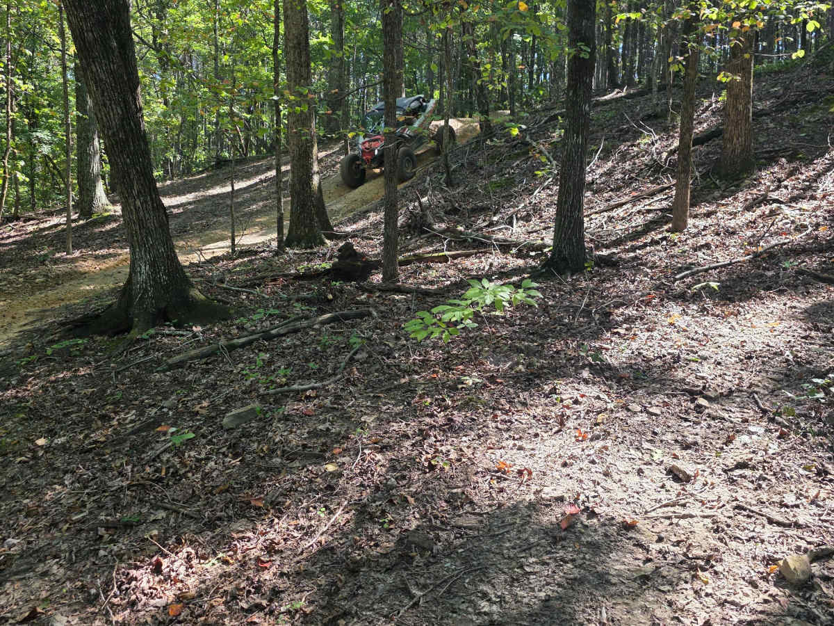 Sidewinder photo 6