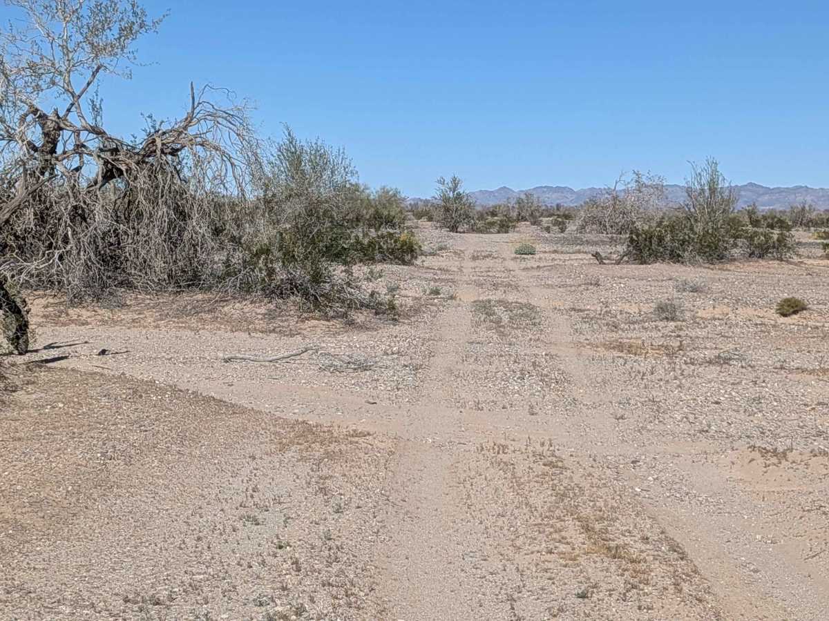 BLM 539 NW photo 3