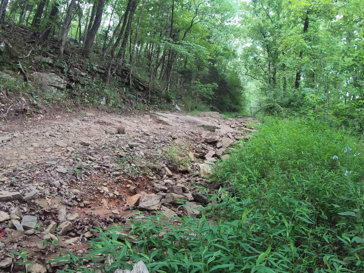 Prison Fence Trail photo 4