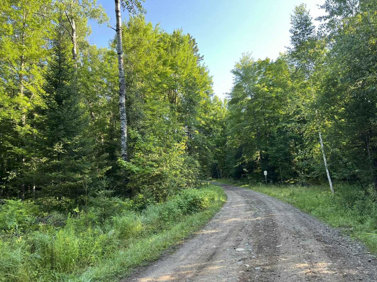 Fay Lake Outlet - FS 2076 trail photo