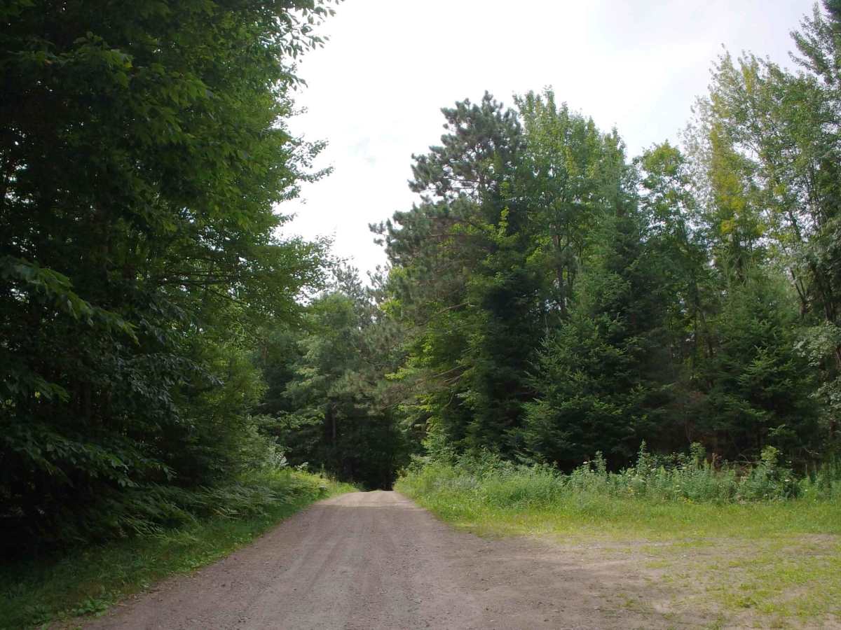 Clear Pond Road photo 2