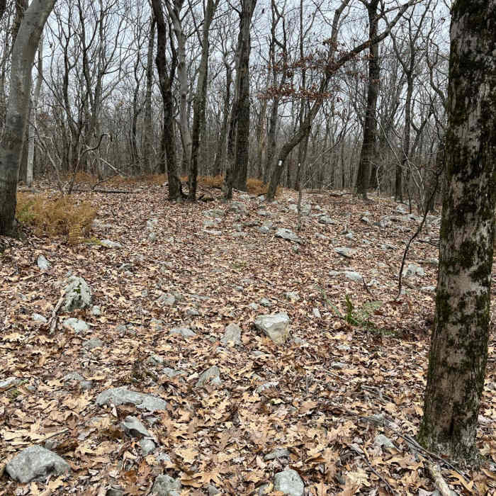 Near Appalachian Trail: Wind Gap to Fox Gap Near Appalachian Trail: Wind Gap to Fox Gap