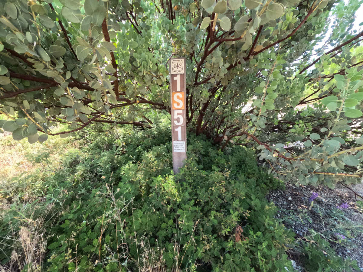 FS 1S51 photo 3