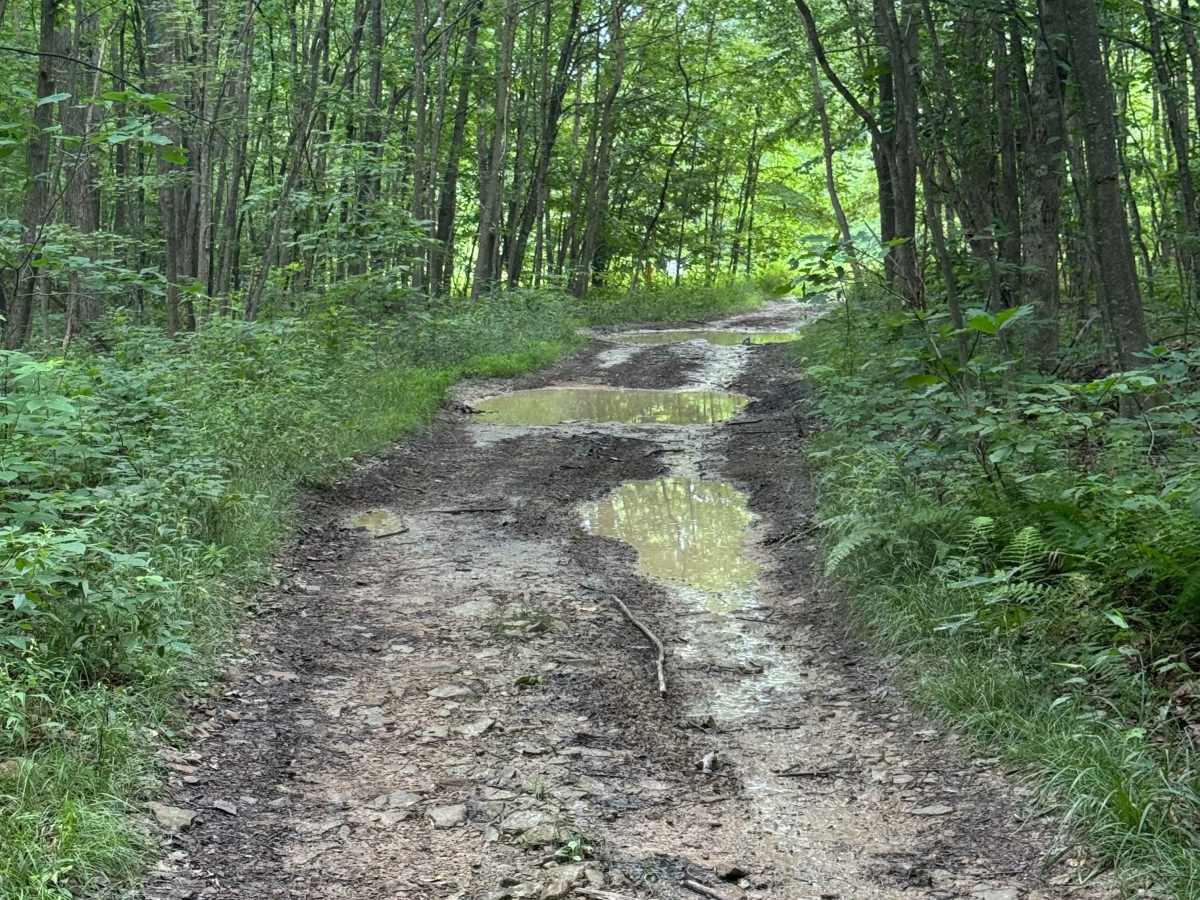 Trail 82 photo 2
