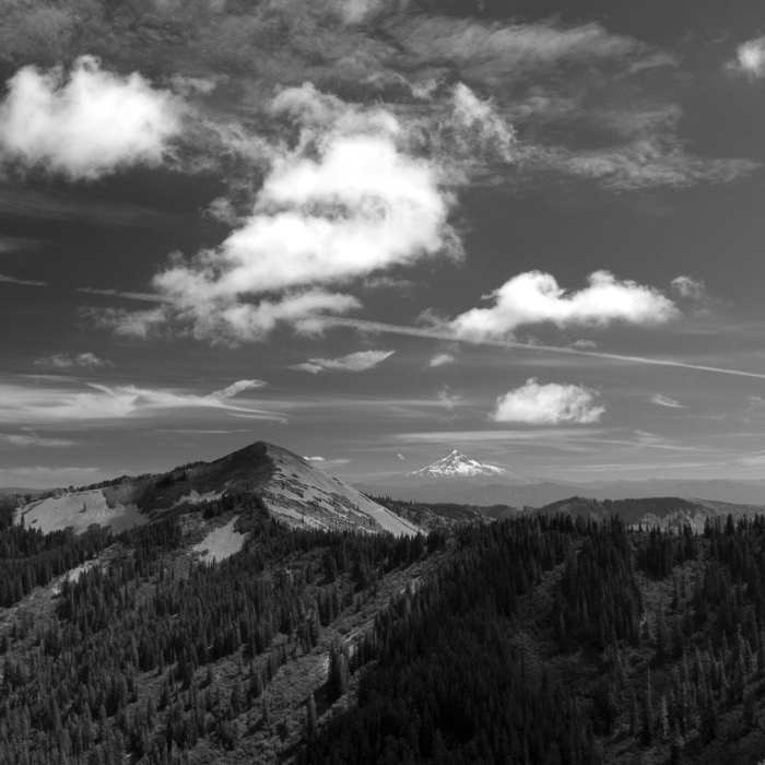 Near Silver Star Summit Trail #180D