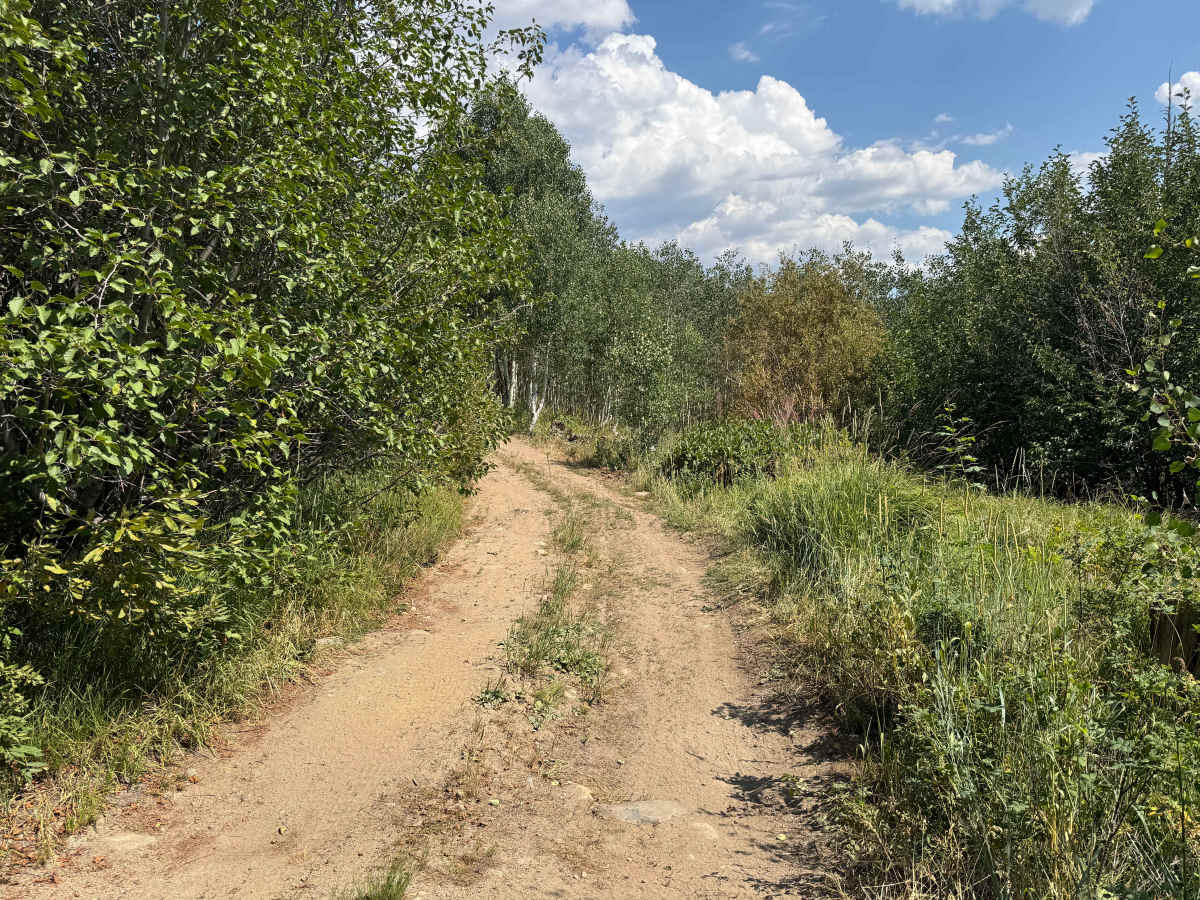 English Creek Road photo 5