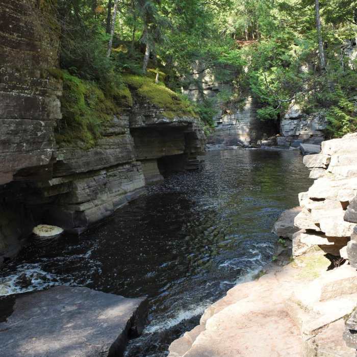 Near Canyon Falls Trail