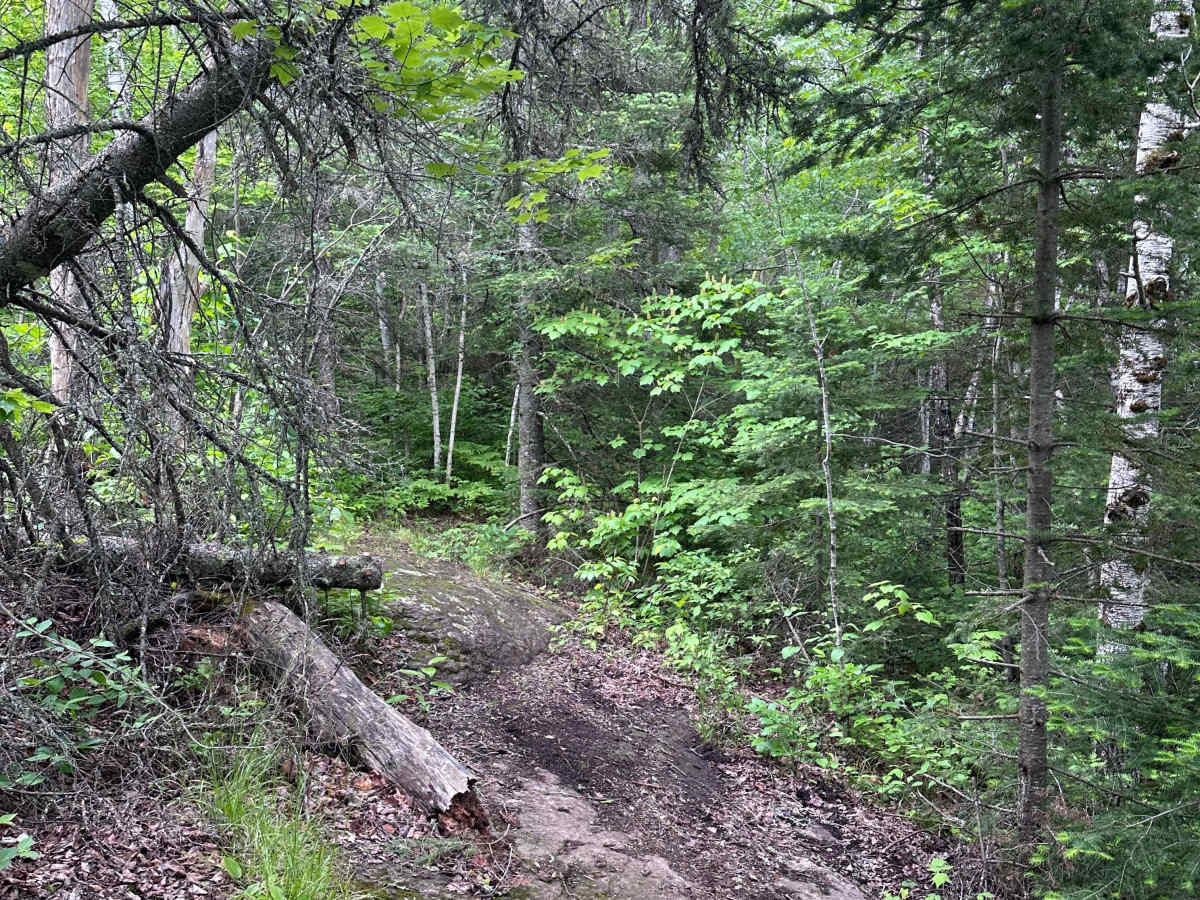 Alger Grade - Trail 5 photo 5