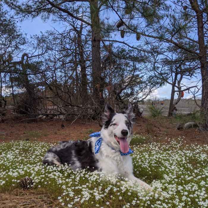 Near 40 Acre Rock Trail