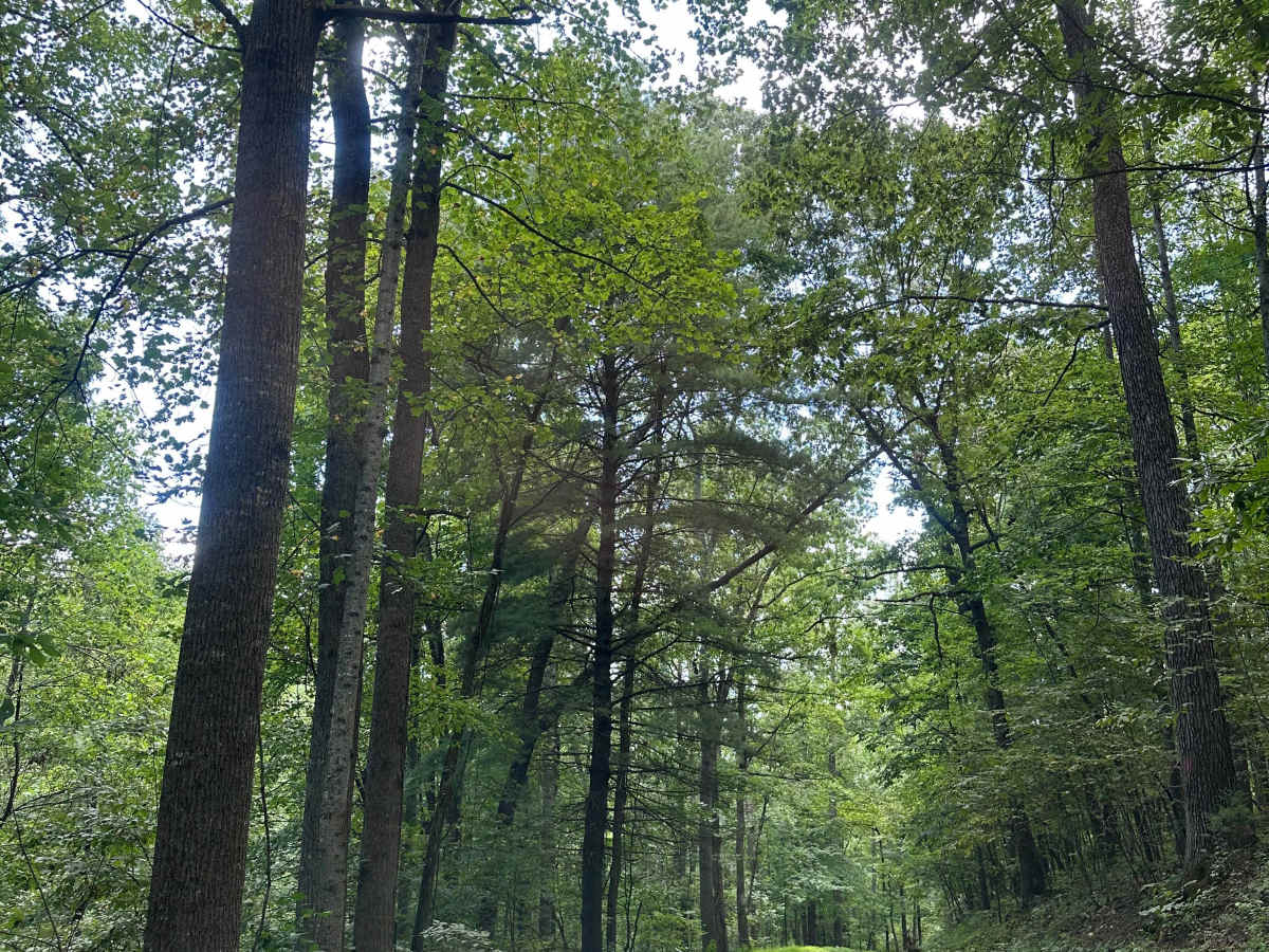 Cold Spring Road photo 2