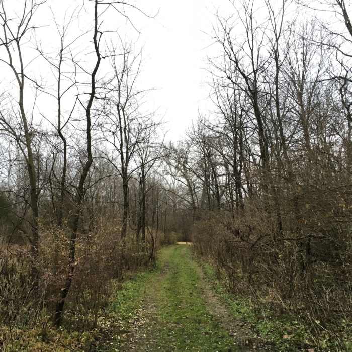 Near Highlands Trail