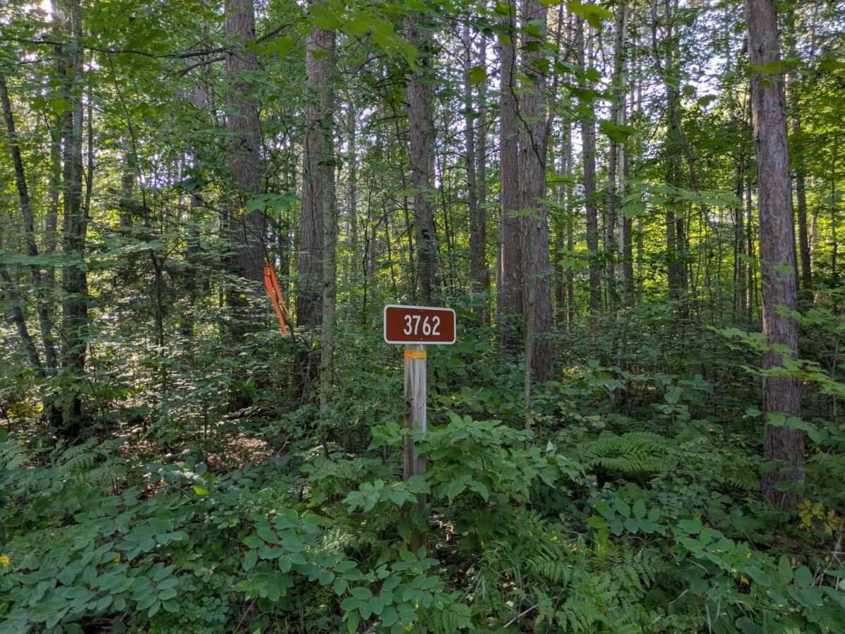 3762 trail photo