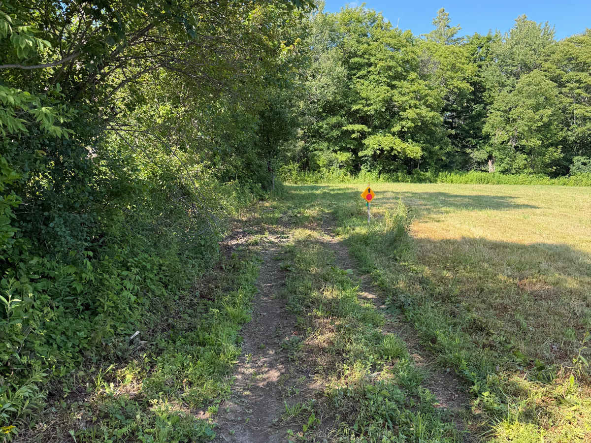HMW Crofoot Hill–Mackay Trail photo 6