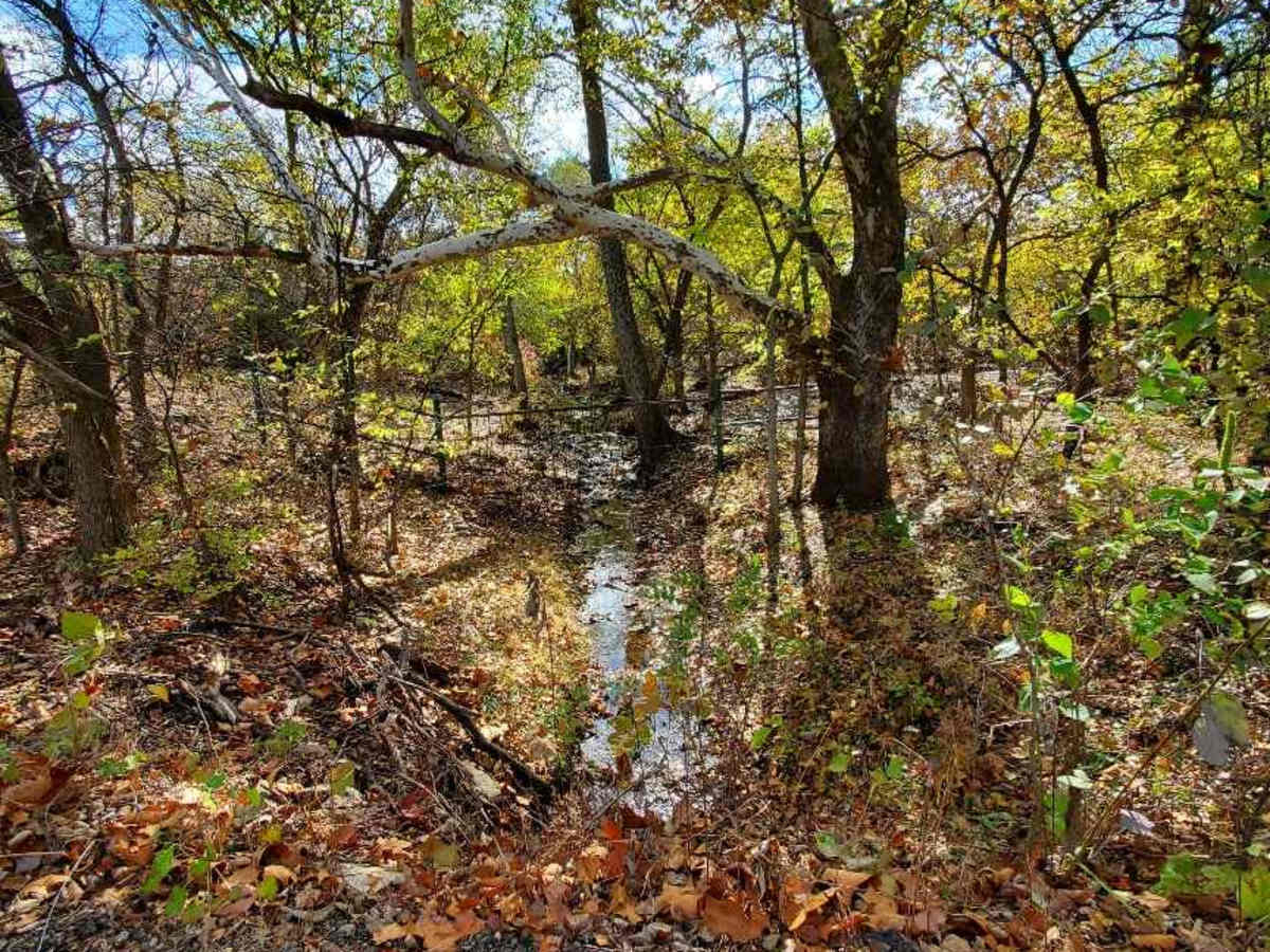 Winfield Lake Track photo 4