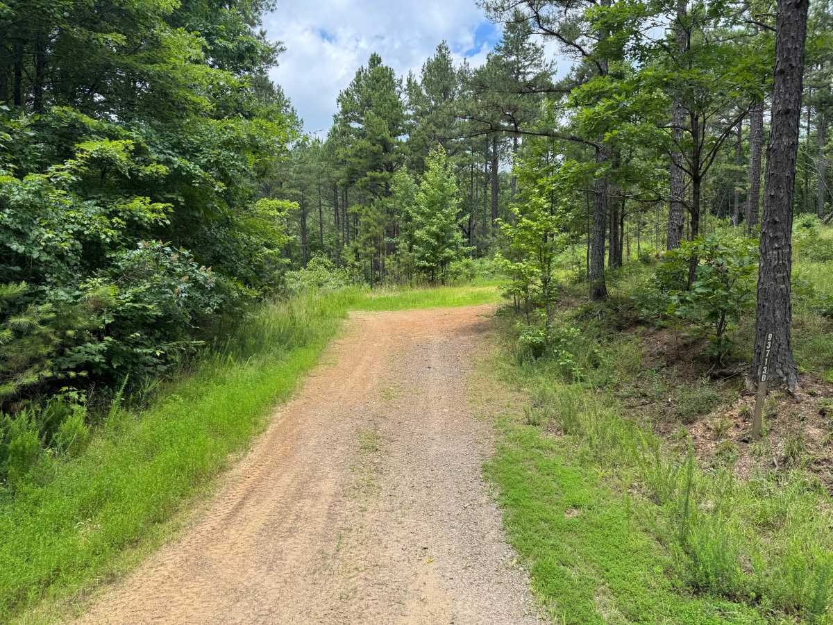 Sulpher Branch trail photo