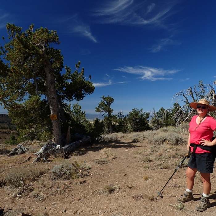 At the junction with the summit trail Near Summit Trail #15E10