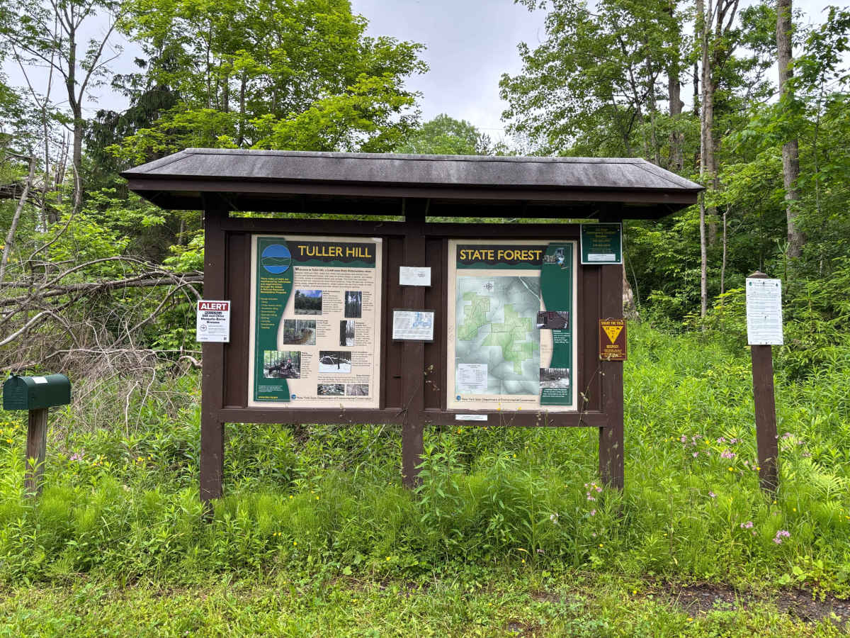 Vinnedge PFAR trail photo