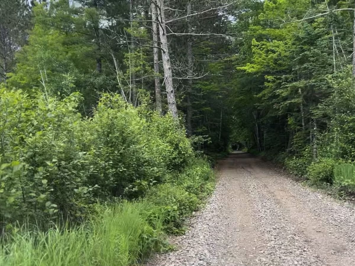 Harrison Hills ATV West Branch trail photo