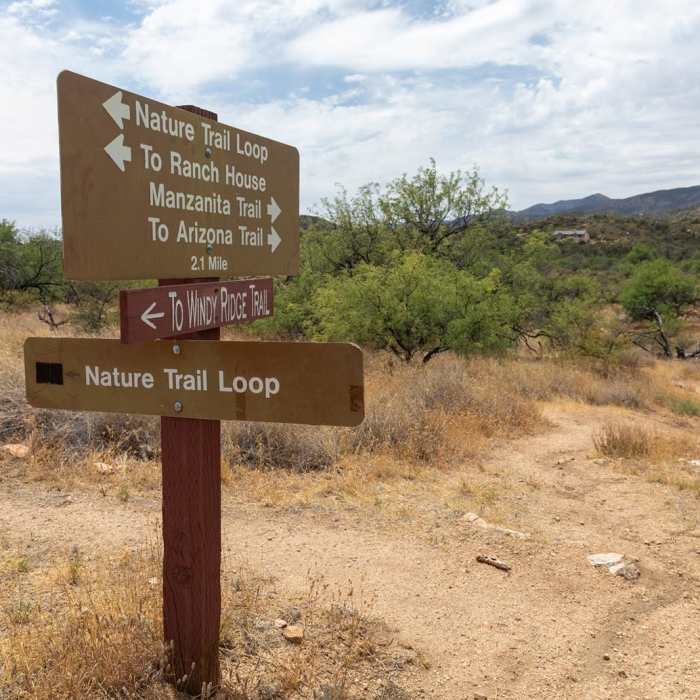 Near Manzanita Trail