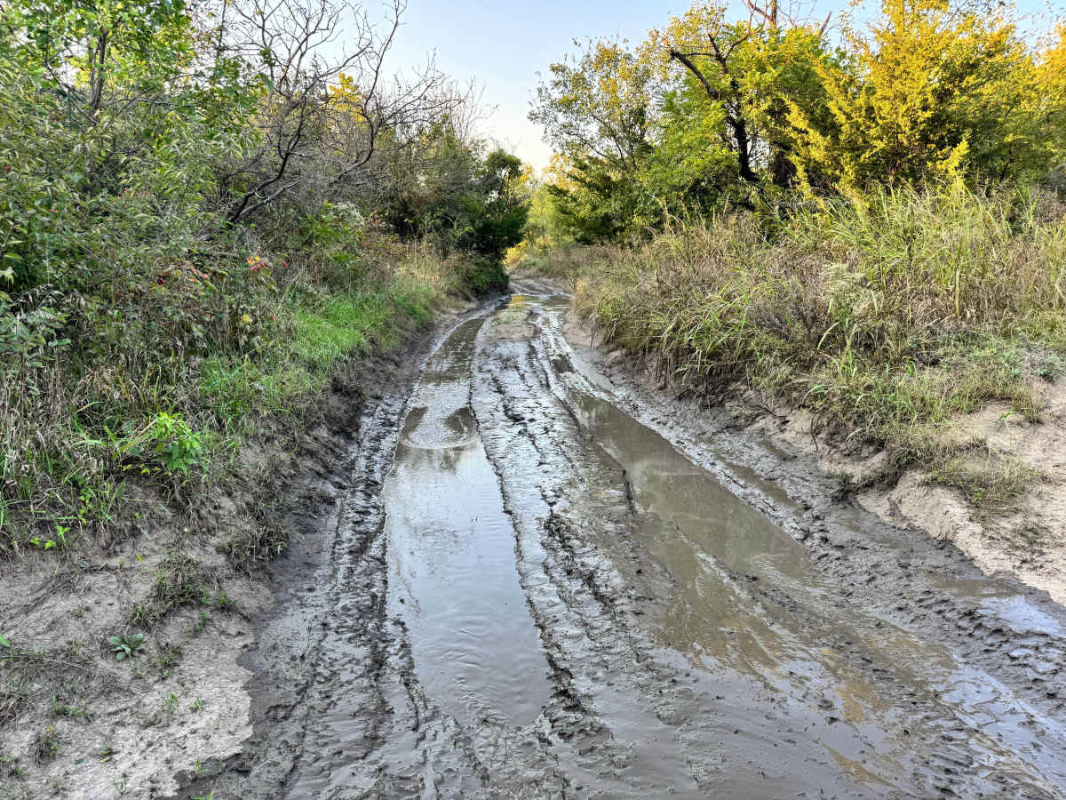 Sandy Bottom Boulevard photo 3