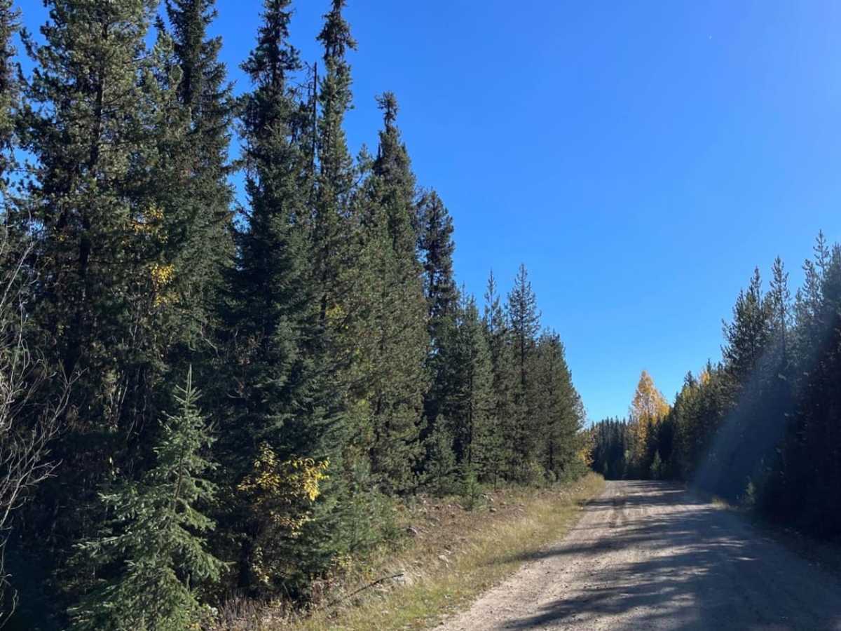 Philpot FSR - Ideal Lake to Highway 33 photo 4