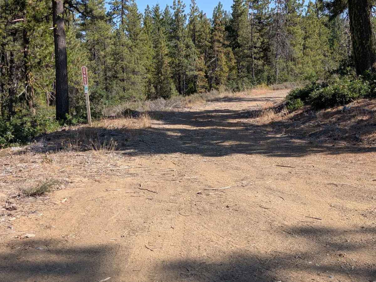 Dubit Kelly Road - FS 29N55  photo 2