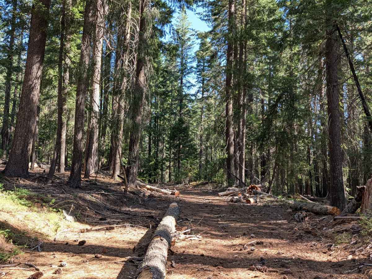 Dead Horse Canyon - FS 40N10 trail photo