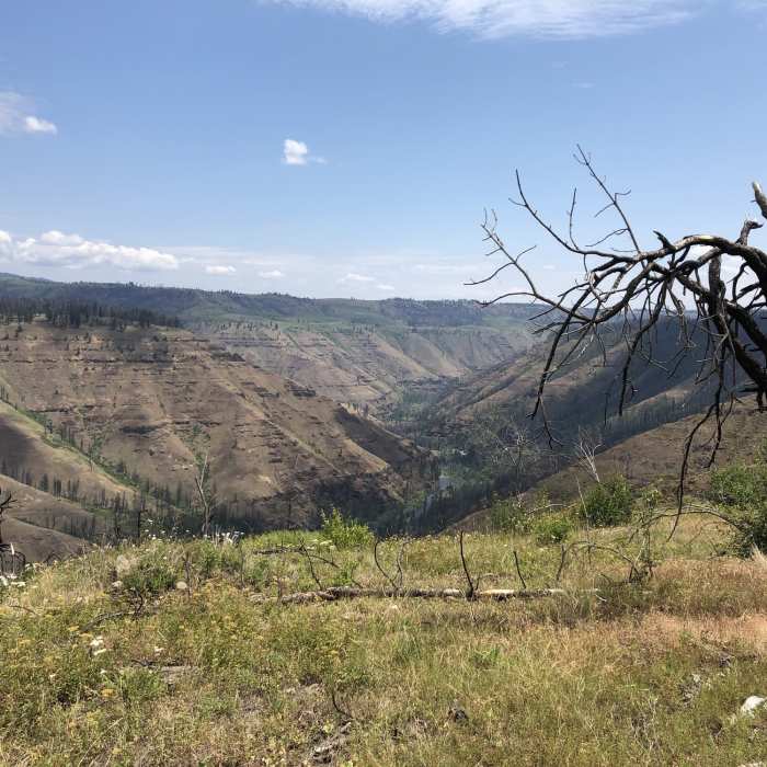 View to east into Wenaha River canyon Near Hoodoo Trail # 3244