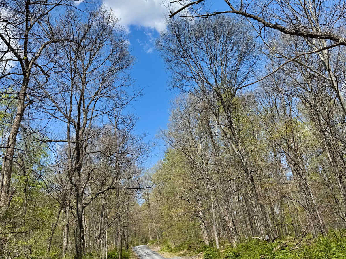 Wynn Gap Rd photo 2
