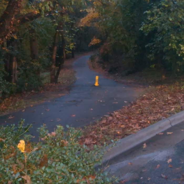 Near Crabtree Creek Trail