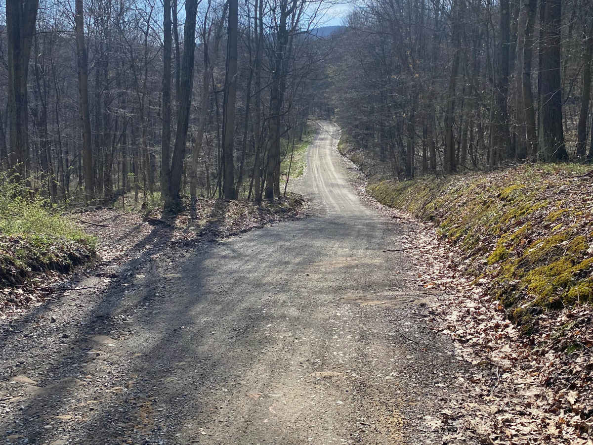 Middle Fork Road photo 3
