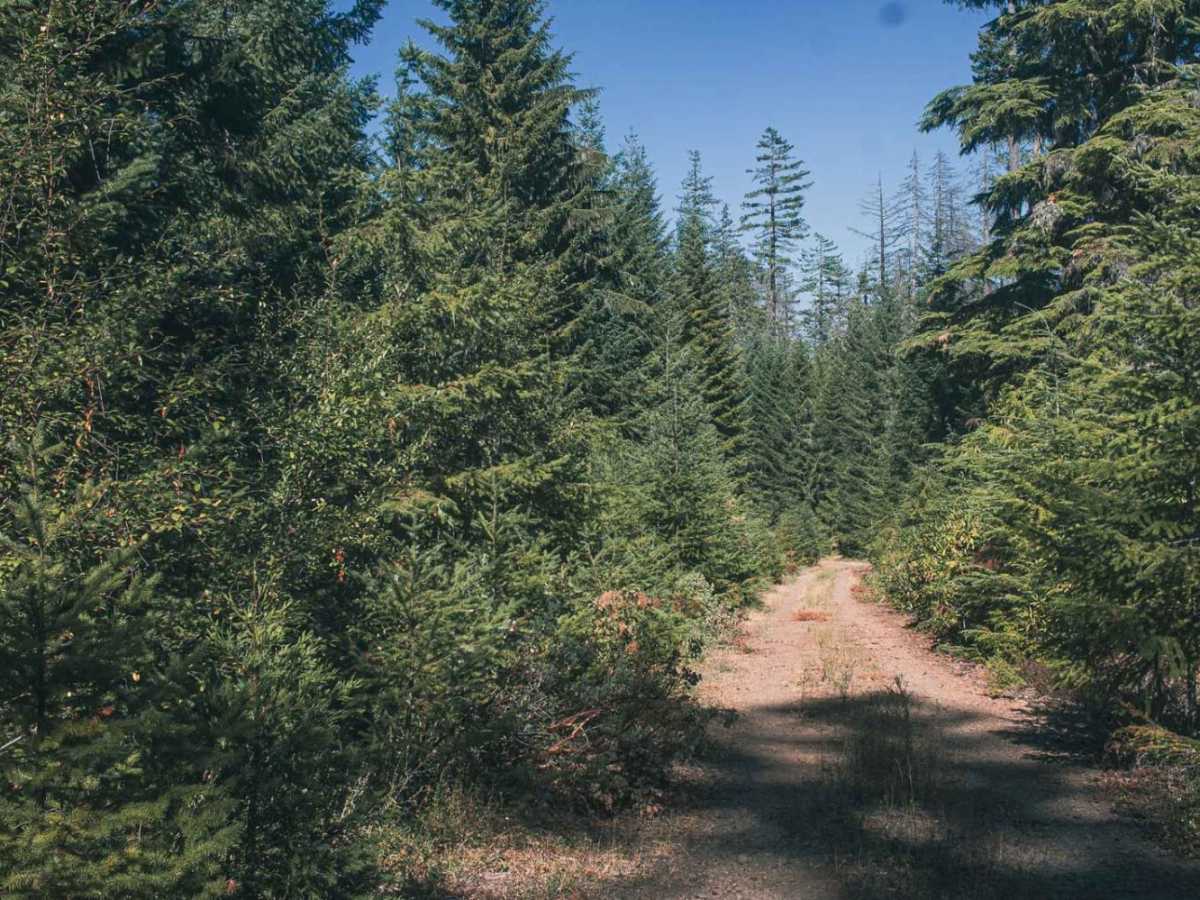 Panther Ridge photo 3