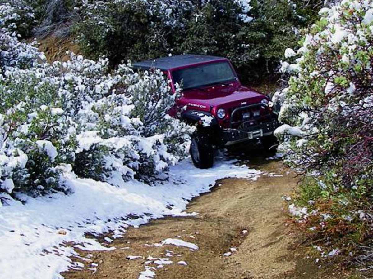 Moss Wash photo 5