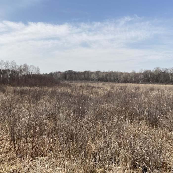 Near Wetlands Loop Trail Near Wetlands Loop Trail