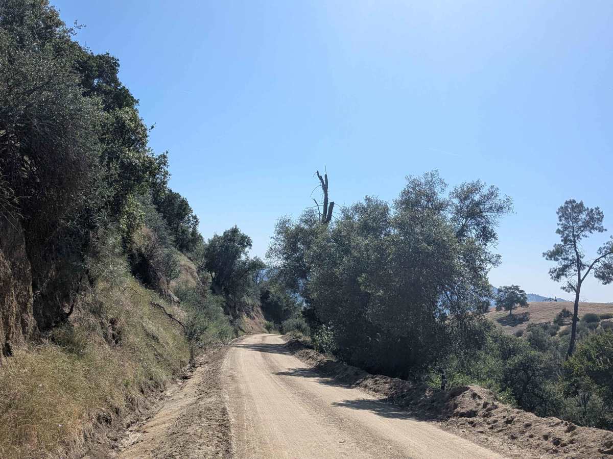 Poso Flat Road photo 5