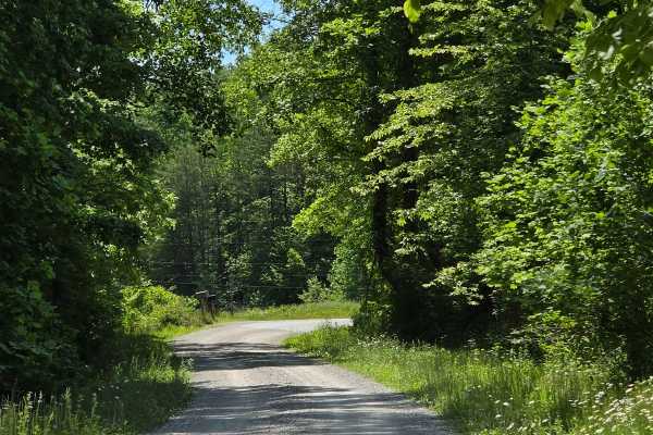 Cool Springs Road