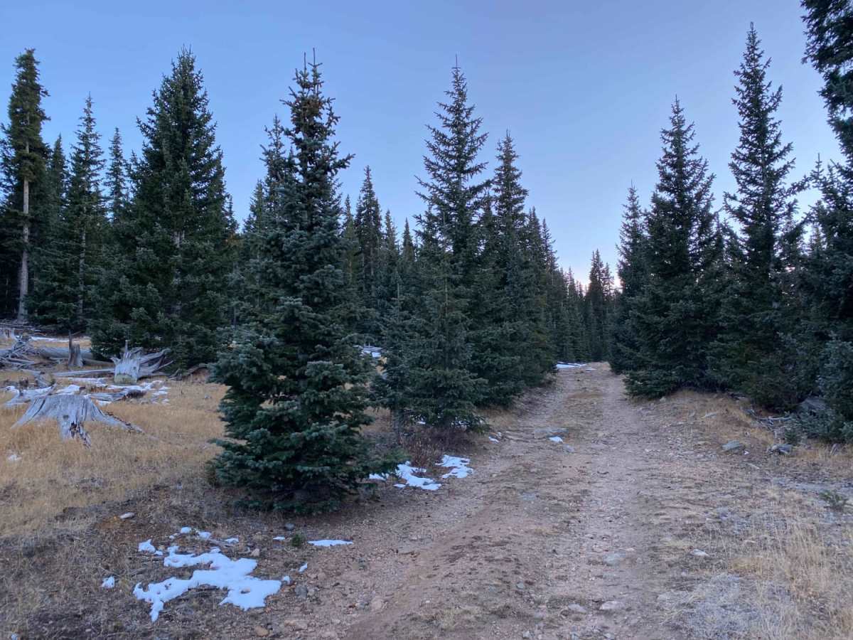 Topaz Mountain Road 446 photo 4