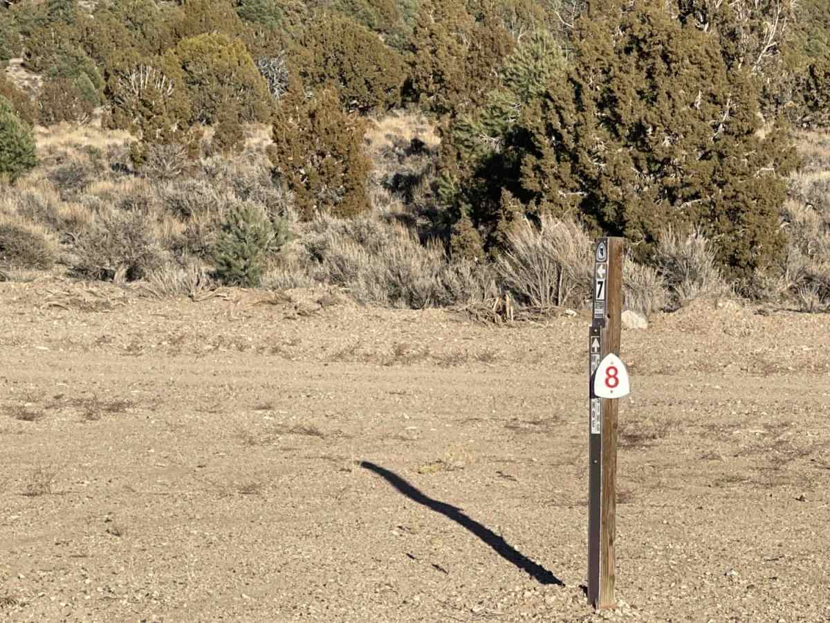 Middle Silver State Trail to OHV Marker photo 4