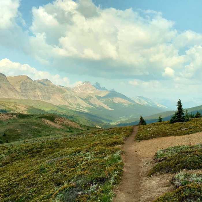 Near Poboktan Pass Trail