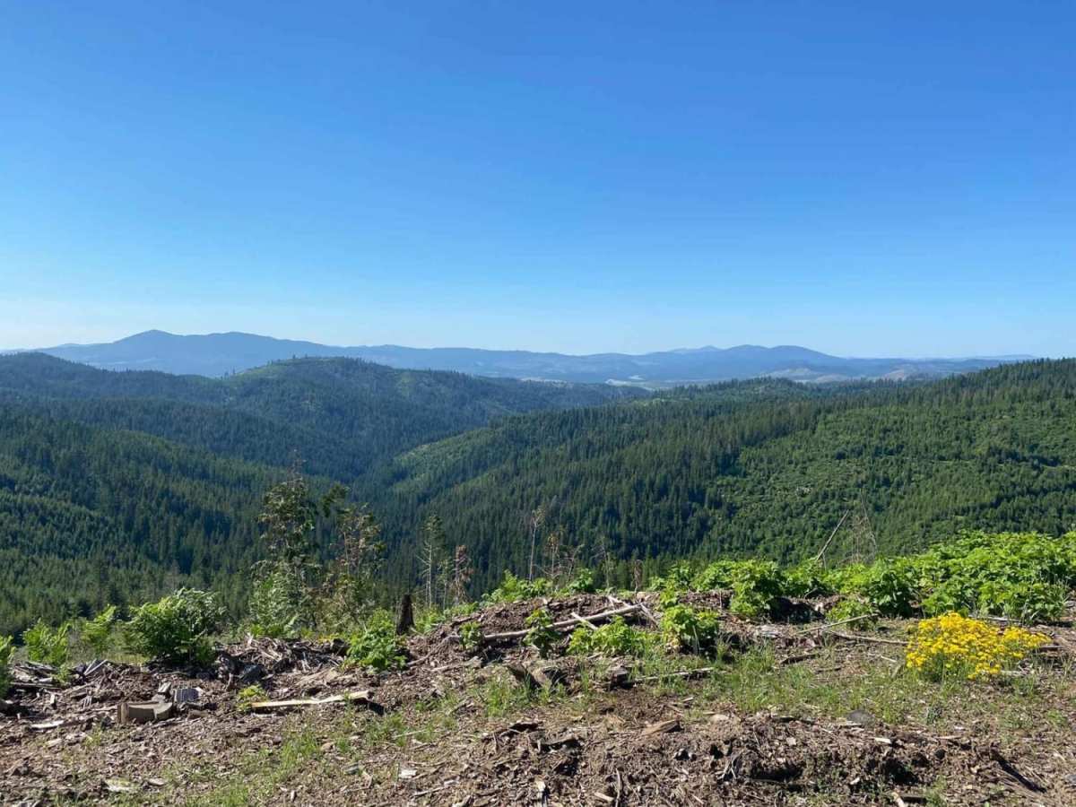 Flat Creek trail photo